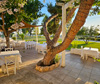 κτηματα γαμου NOTOS PARK βουλα