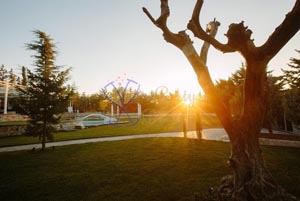 κτηματα δεξιωσεων ΟΝΑΡ Κορωπι